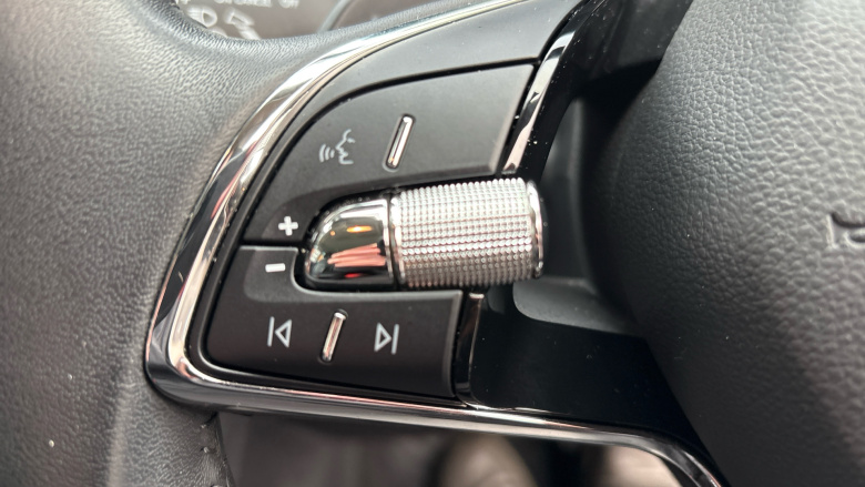 Skoda Kodiaq 1.5 TSI SE L Executive 5dr DSG [7 Seat] Petrol Estate